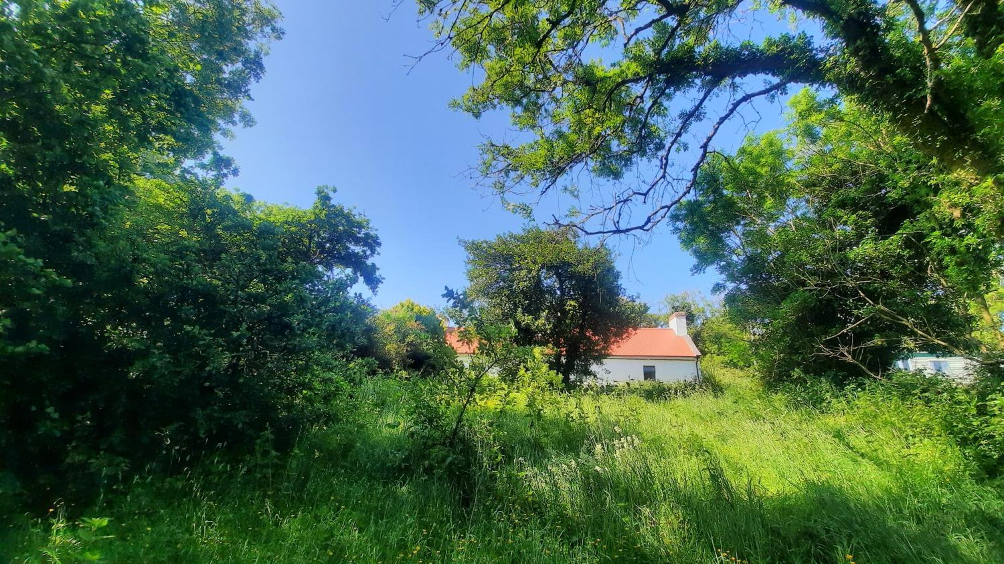 -Going Back In Time- 200 Year Old Farmhouse Creegh Exterior photo